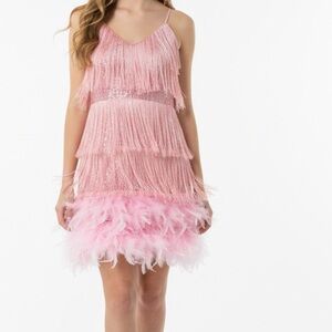 Pink Feather and Fringe Dress